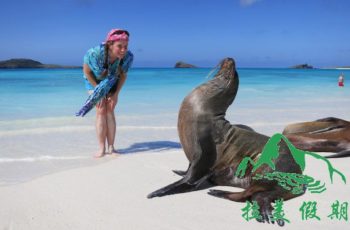 8-Sea-Lions-and-Mandy-Gardner-Bay-Galapagos-Mandy-Seymour-16-1